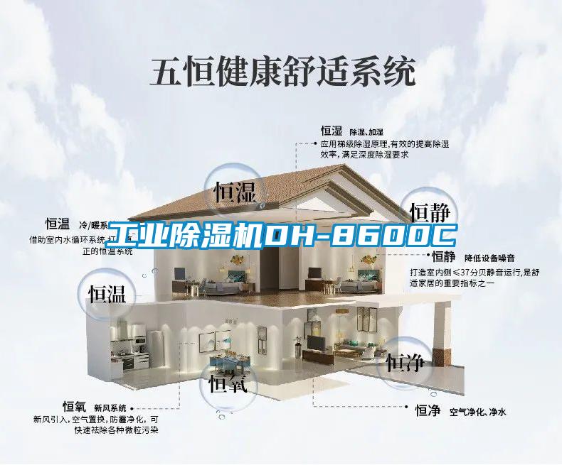 工業(yè)除濕機DH-8600C