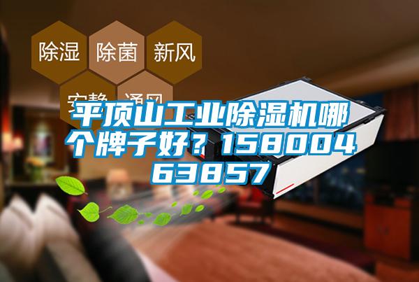平頂山工業(yè)除濕機哪個牌子好？15800463857