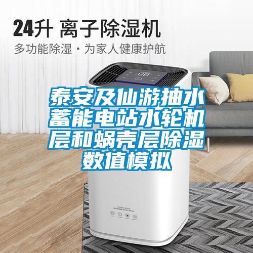 泰安及仙游抽水蓄能電站水輪機層和蝸殼層除濕數(shù)值模擬