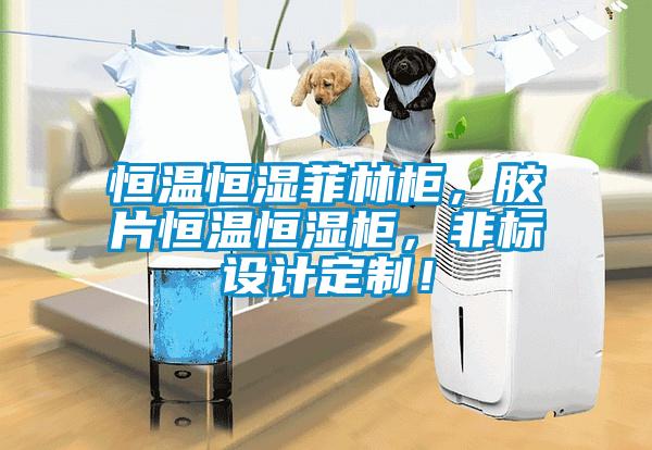 恒溫恒濕菲林柜，膠片恒溫恒濕柜，非標(biāo)設(shè)計定制！