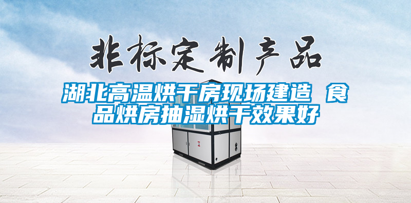 湖北高溫烘干房現(xiàn)場(chǎng)建造 食品烘房抽濕烘干效果好