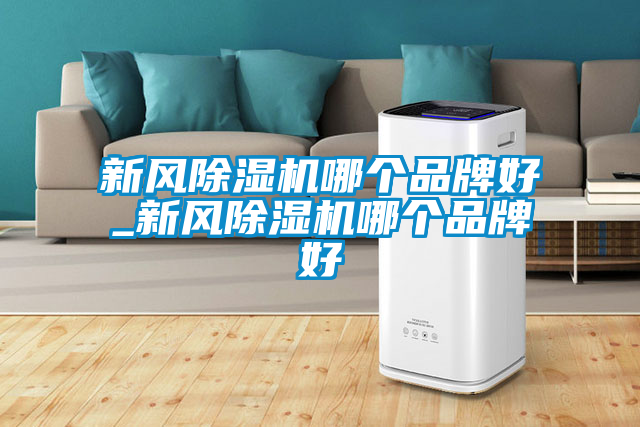 新風(fēng)除濕機哪個品牌好_新風(fēng)除濕機哪個品牌好