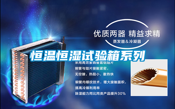 恒溫恒濕試驗(yàn)箱系列