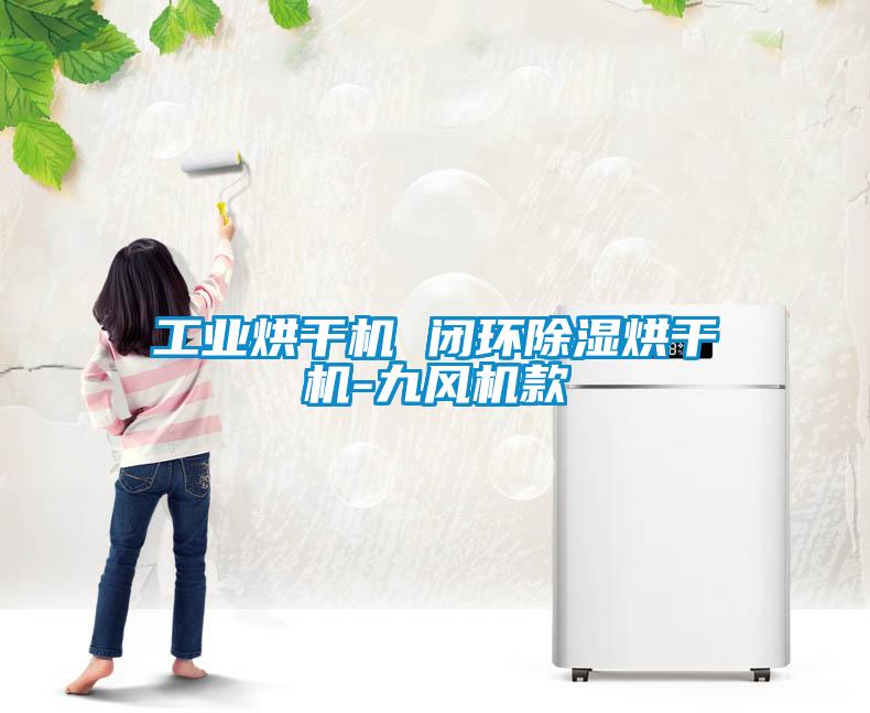 工業(yè)烘干機 閉環(huán)除濕烘干機-九風機款