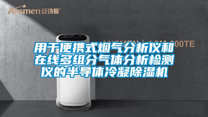 用于便攜式煙氣分析儀和在線多組分氣體分析檢測(cè)儀的半導(dǎo)體冷凝除濕機(jī)