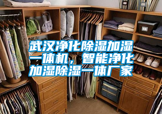 武漢凈化除濕加濕一體機(jī)，智能凈化加濕除濕一體廠家