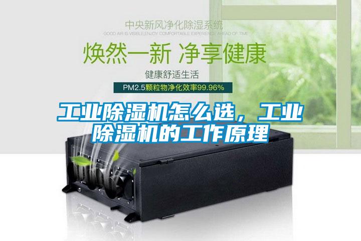工業(yè)除濕機(jī)怎么選，工業(yè)除濕機(jī)的工作原理