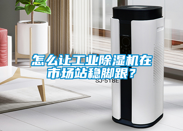 怎么讓工業(yè)除濕機(jī)在市場(chǎng)站穩(wěn)腳跟？