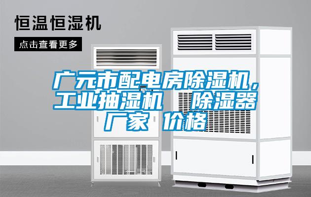 廣元市配電房除濕機(jī)，工業(yè)抽濕機(jī)  除濕器廠家 價(jià)格