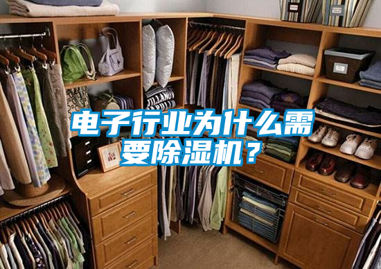電子行業(yè)為什么需要除濕機(jī)？