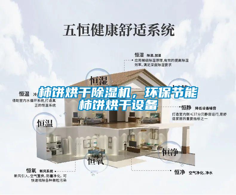 柿餅烘干除濕機(jī)，環(huán)保節(jié)能柿餅烘干設(shè)備