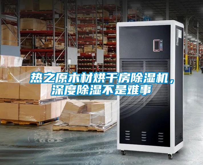 熱之原木材烘干房除濕機(jī)，深度除濕不是難事