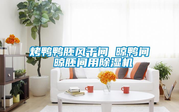 烤鴨鴨胚風(fēng)干間 晾鴨間 晾胚間用除濕機