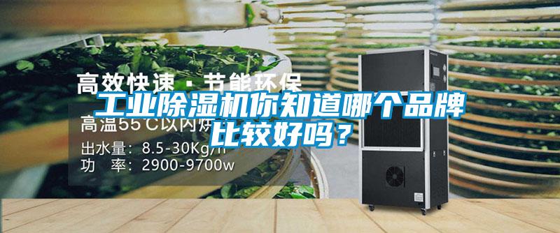工業(yè)除濕機(jī)你知道哪個(gè)品牌比較好嗎？