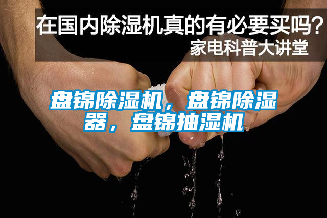 盤錦除濕機，盤錦除濕器，盤錦抽濕機