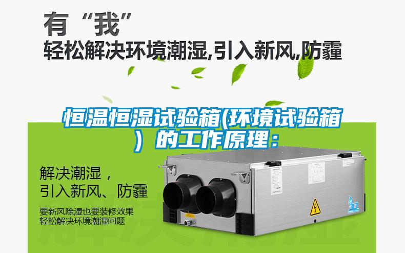 恒溫恒濕試驗箱(環(huán)境試驗箱）的工作原理：
