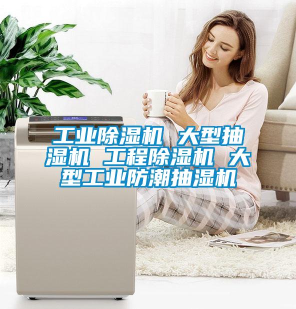 工業(yè)除濕機 大型抽濕機 工程除濕機 大型工業(yè)防潮抽濕機