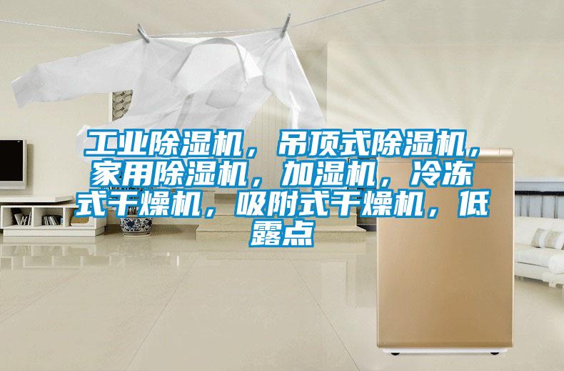 工業(yè)除濕機(jī)，吊頂式除濕機(jī)，家用除濕機(jī)，加濕機(jī)，冷凍式干燥機(jī)，吸附式干燥機(jī)，低露點(diǎn)