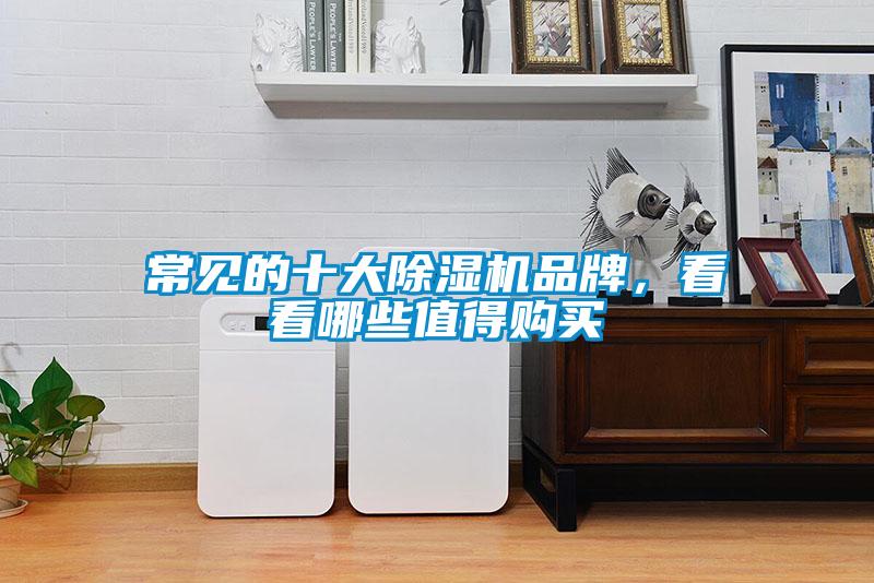 常見的十大除濕機品牌，看看哪些值得購買