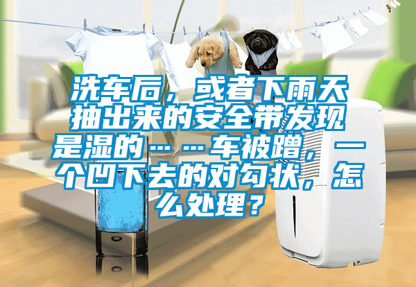 洗車后，或者下雨天抽出來的安全帶發(fā)現(xiàn)是濕的……車被蹭，一個凹下去的對勾狀，怎么處理？