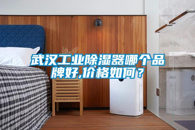 武漢工業(yè)除濕器哪個品牌好,價格如何？