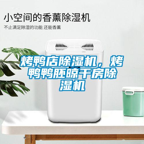 烤鴨店除濕機(jī)，烤鴨鴨胚晾干房除濕機(jī)