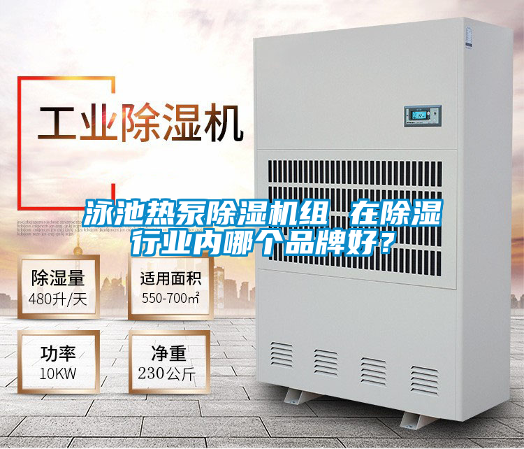 泳池熱泵除濕機組 在除濕行業(yè)內哪個品牌好？