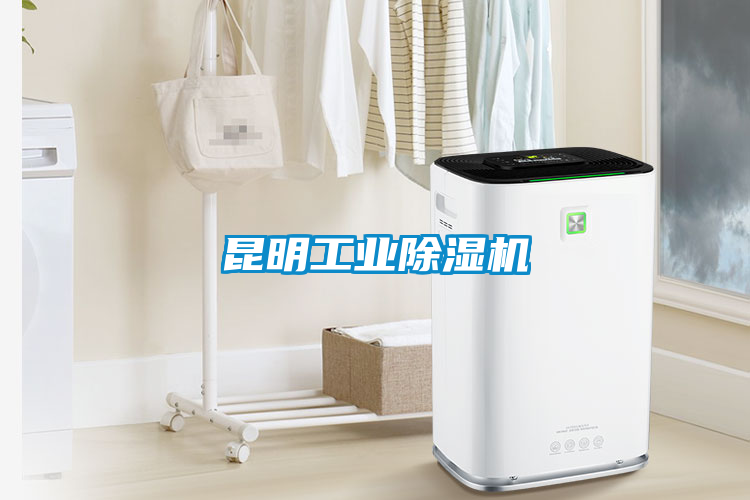昆明工業(yè)除濕機(jī)