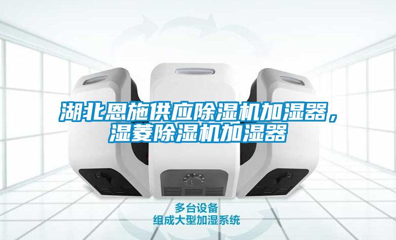 湖北恩施供應(yīng)除濕機(jī)加濕器，濕菱除濕機(jī)加濕器