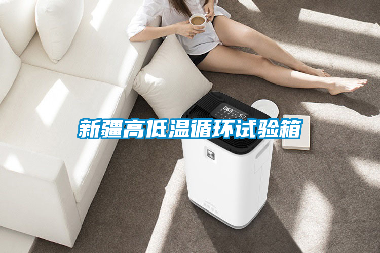 新疆高低溫循環(huán)試驗箱