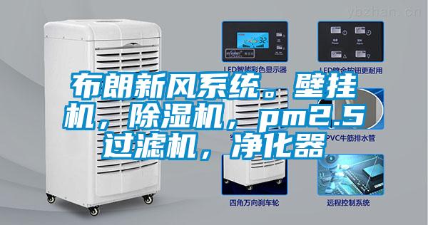 布朗新風(fēng)系統(tǒng)。壁掛機(jī)，除濕機(jī)，pm2.5過(guò)濾機(jī)，凈化器