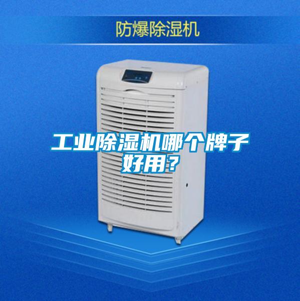 工業(yè)除濕機(jī)哪個(gè)牌子好用？