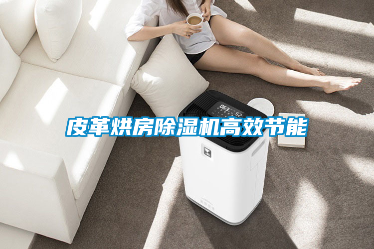 皮革烘房除濕機高效節(jié)能