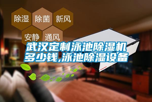 武漢定制泳池除濕機多少錢,泳池除濕設(shè)備