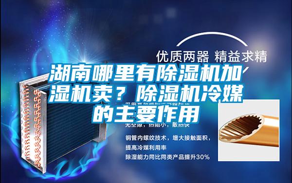 湖南哪里有除濕機(jī)加濕機(jī)賣？除濕機(jī)冷媒的主要作用
