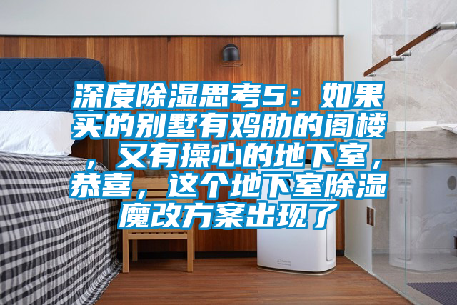 深度除濕思考5：如果買的別墅有雞肋的閣樓，又有操心的地下室，恭喜，這個地下室除濕魔改方案出現(xiàn)了