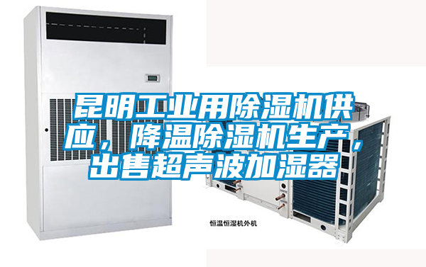 昆明工業(yè)用除濕機(jī)供應(yīng)，降溫除濕機(jī)生產(chǎn)，出售超聲波加濕器