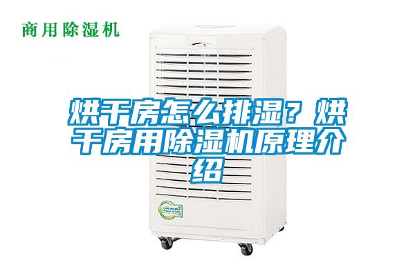 烘干房怎么排濕？烘干房用除濕機(jī)原理介紹