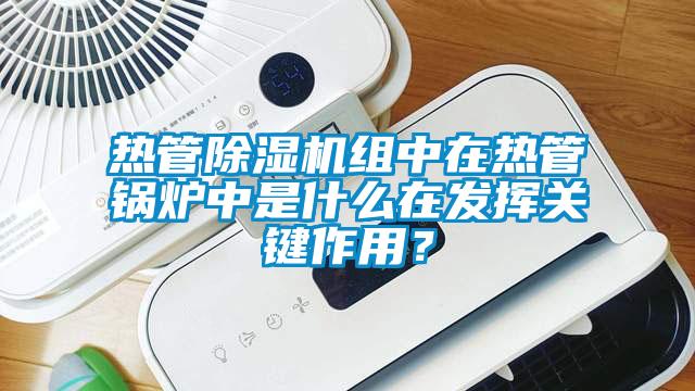 熱管除濕機組中在熱管鍋爐中是什么在發(fā)揮關(guān)鍵作用？