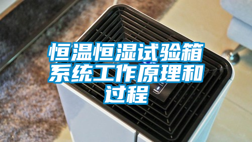 恒溫恒濕試驗(yàn)箱系統(tǒng)工作原理和過程