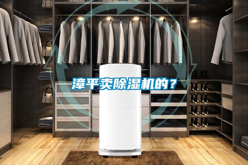 漳平賣除濕機的？
