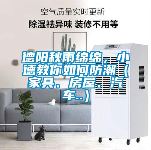 德陽秋雨綿綿，小德教你如何防潮（家具、房屋、汽車..）