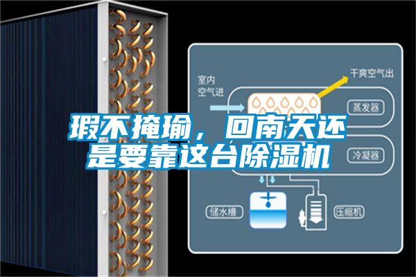 瑕不掩瑜，回南天還是要靠這臺(tái)除濕機(jī)