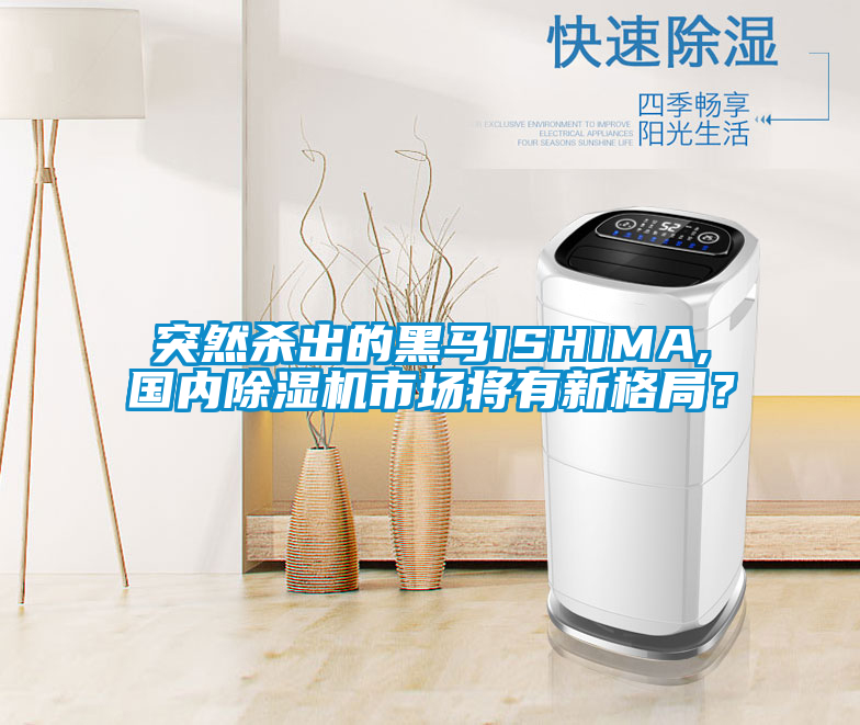 突然殺出的黑馬ISHIMA,國內(nèi)除濕機(jī)市場將有新格局？
