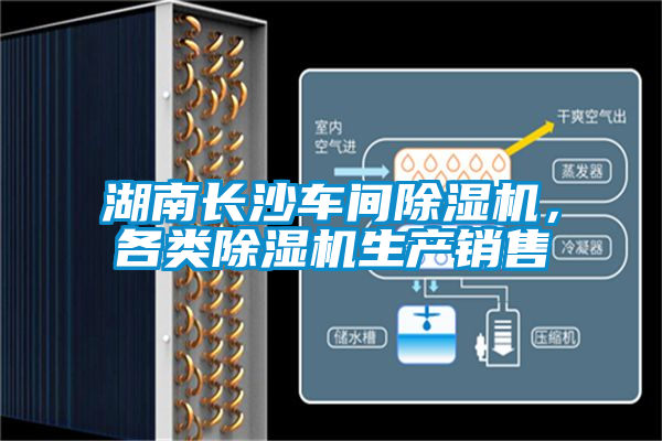 湖南長沙車間除濕機，各類除濕機生產(chǎn)銷售