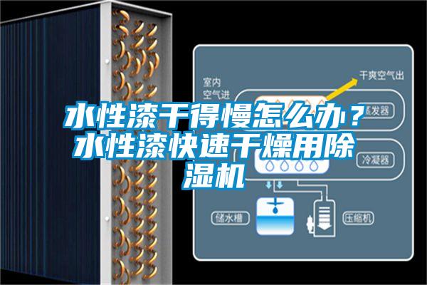 水性漆干得慢怎么辦？水性漆快速干燥用除濕機(jī)