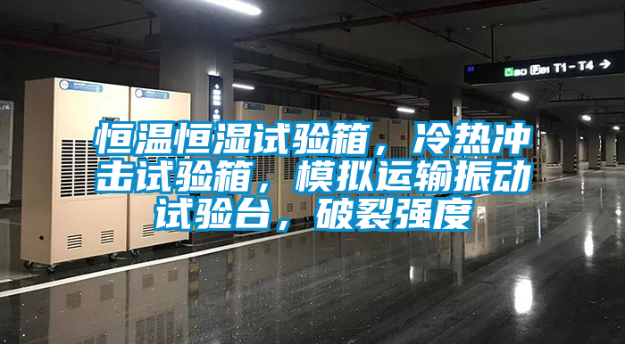 恒溫恒濕試驗箱，冷熱沖擊試驗箱，模擬運輸振動試驗臺，破裂強度