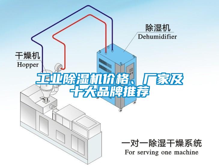 工業(yè)除濕機(jī)價(jià)格、廠家及十大品牌推薦