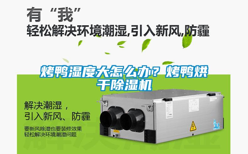 烤鴨濕度大怎么辦？烤鴨烘干除濕機(jī)