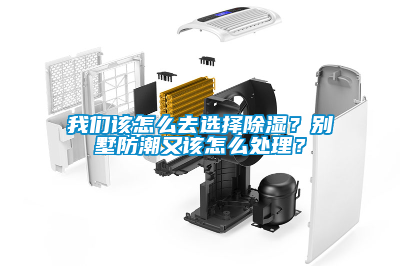 我們該怎么去選擇除濕？別墅防潮又該怎么處理？